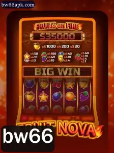 FruitNova: Explorando o Universo Fascinante do Jogo com bw66
